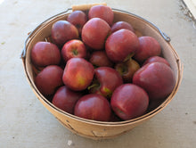 Load image into Gallery viewer, Organic Pixie Crunch Apples