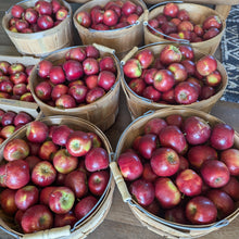 Load image into Gallery viewer, Organic Pixie Crunch Apples