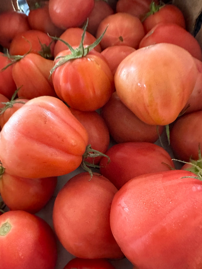 Organic Heirloom Tomatoes