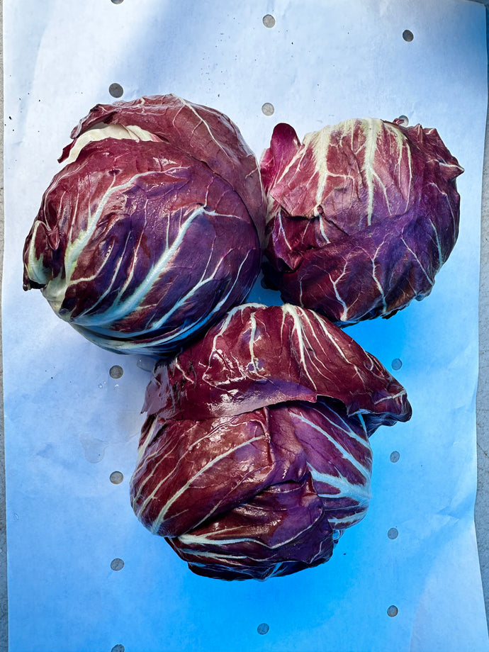 Organic Radicchio