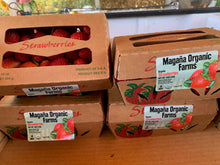Load image into Gallery viewer, Organic Strawberries 1 lb
