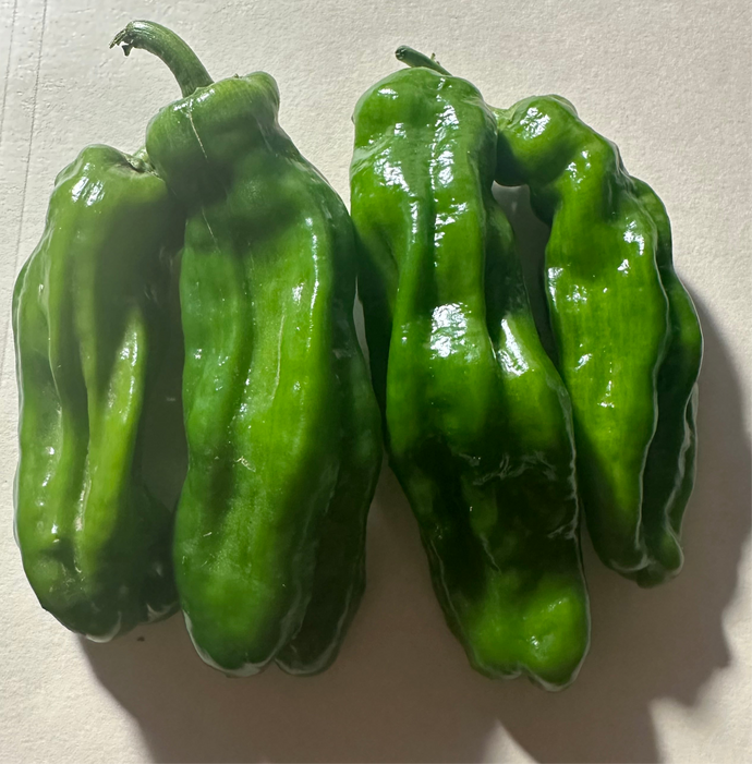 Organic Shishito Peppers