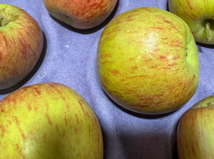 Organic Jonagold Apple
