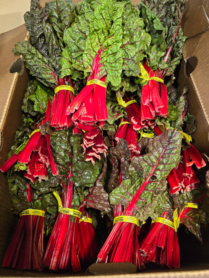 Organic Red Chard