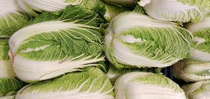 Organic Napa Cabbage