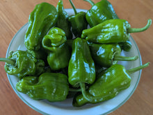 Load image into Gallery viewer, Organic Padrón Peppers
