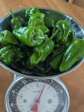 Load image into Gallery viewer, Organic Padrón Peppers
