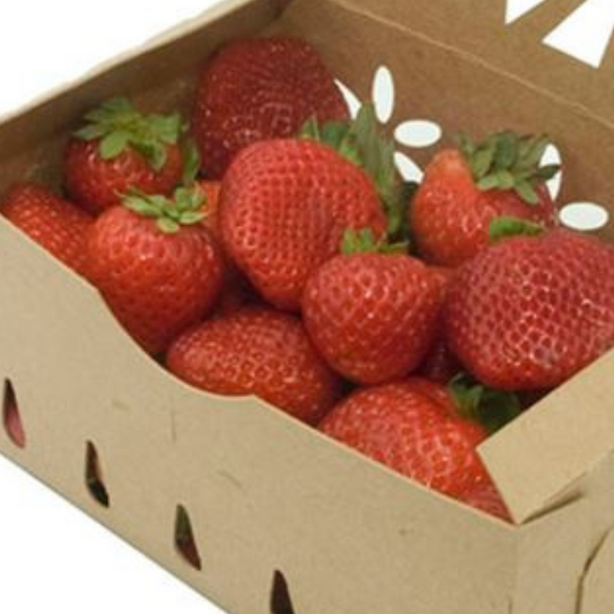 Organic Strawberries 1 lb