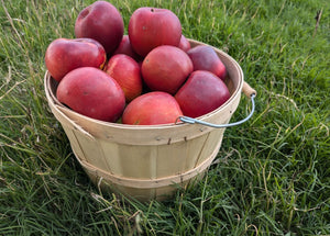 Organic Enterprise Apples