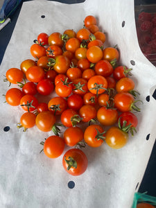 Organic Cherry Tomatoes
