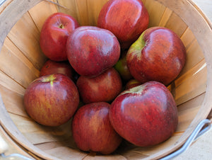 Organic Winecrisp Apples