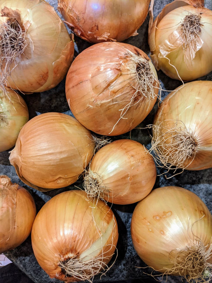Organic Dry Yellow Onions