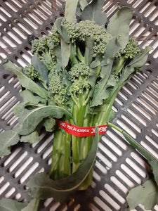 Organic Broccolini
