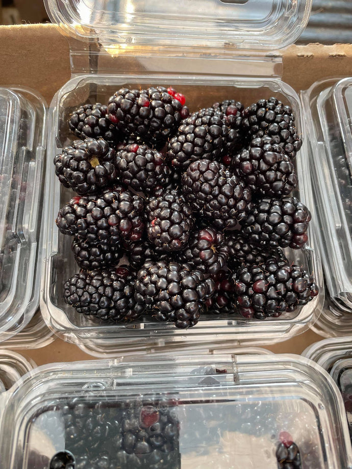Organic Blackberries