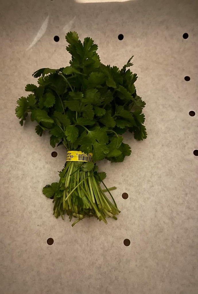 Organic Cilantro