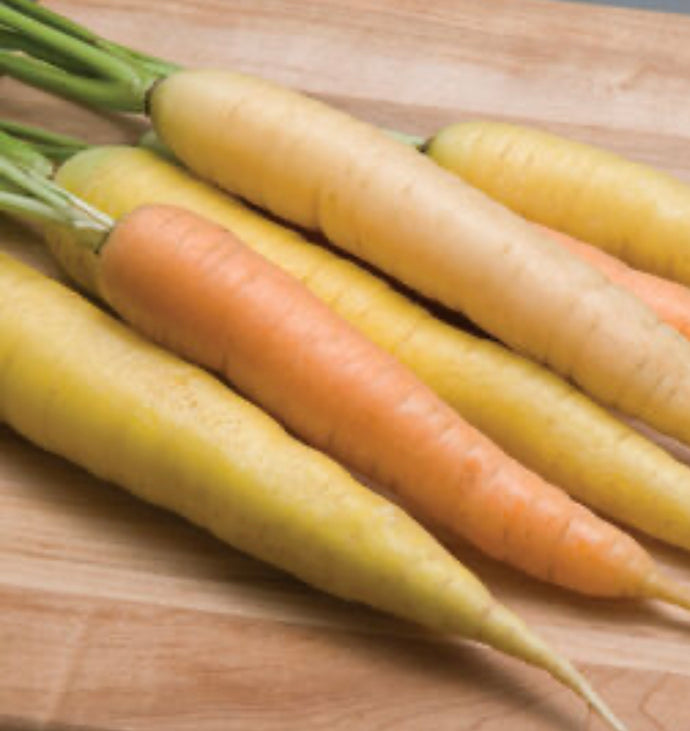 Organic Rainbow Carrots