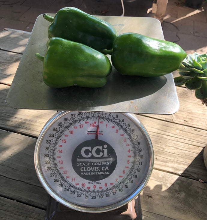 Organic Green Bell Peppers