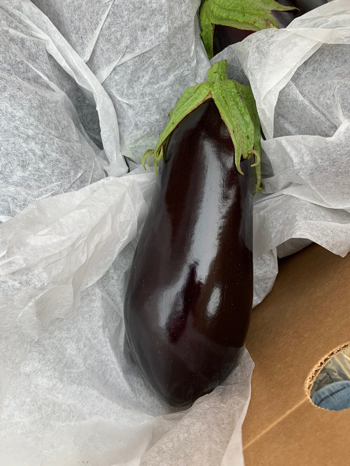 Organic Eggplant