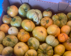 Organic Gold Heirloom Tomato