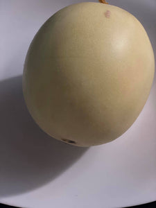 Organic Honeydew Green Melon