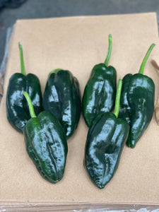 Organic Poblano Pepper