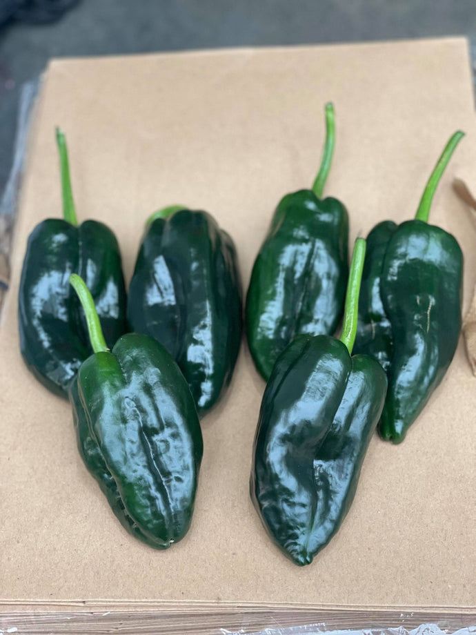 Organic Poblano Pepper