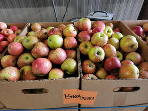 Organic Braeburn Apples