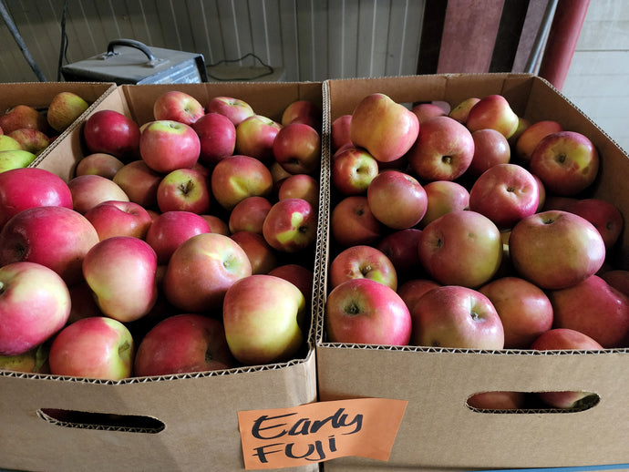 Organic Fuji Apples