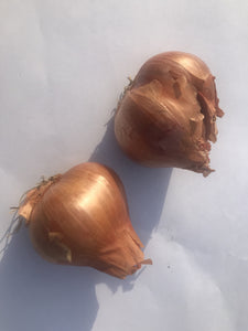 Organic Shallots (Dry)