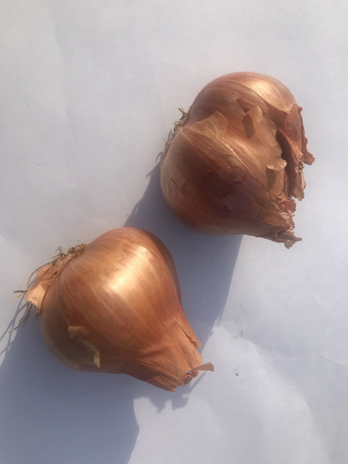 Organic Shallots (Dry)